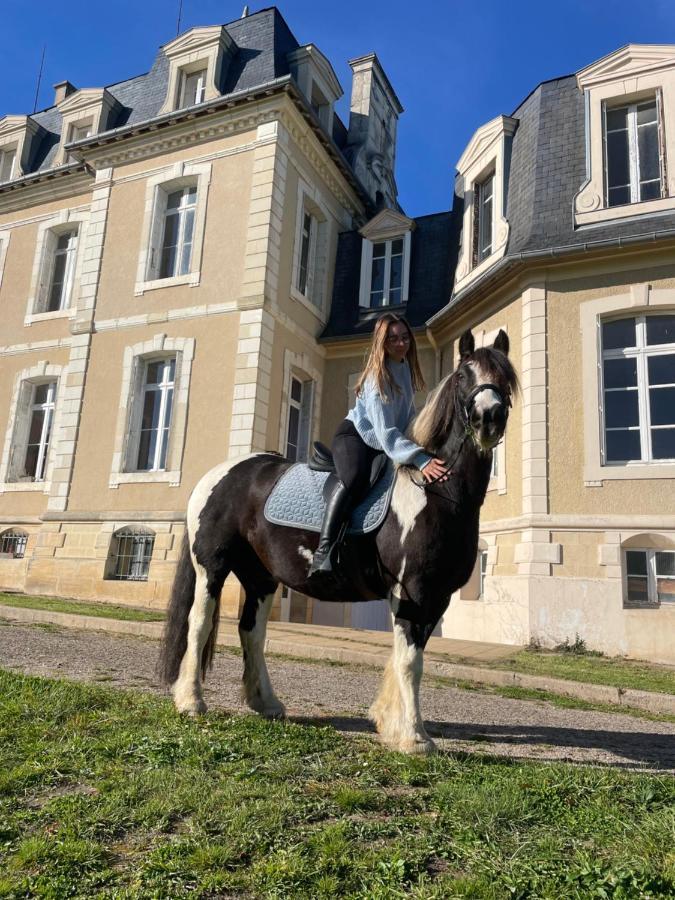 Chateau De La Bouchatte Chambre Les Roses Chazemais Exterior foto
